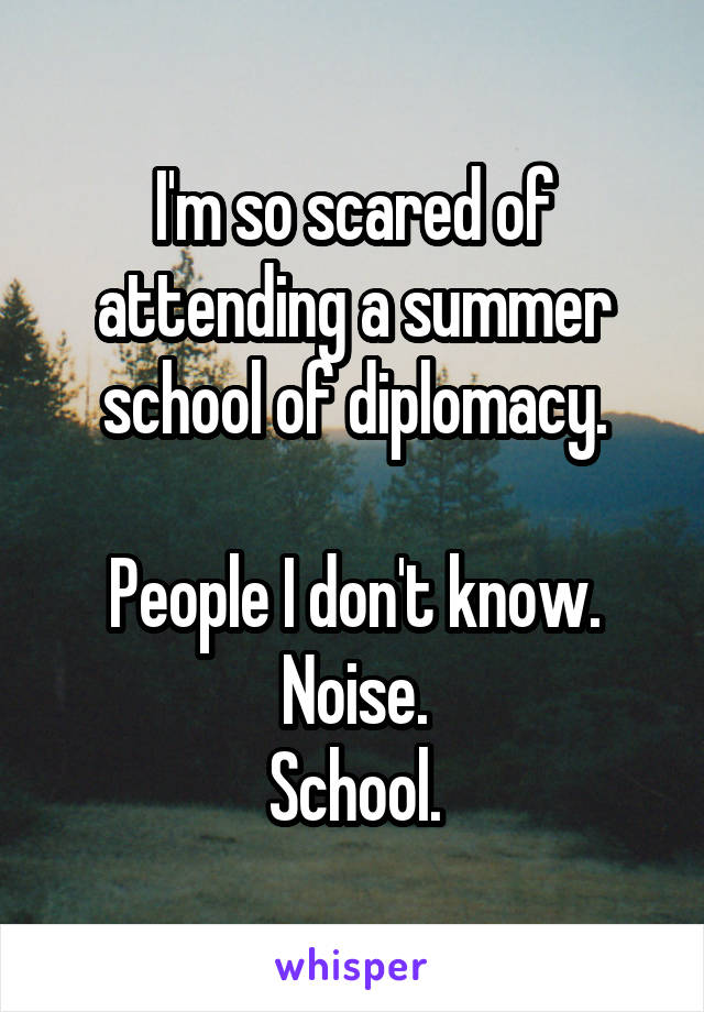 I'm so scared of attending a summer school of diplomacy.

People I don't know.
Noise.
School.