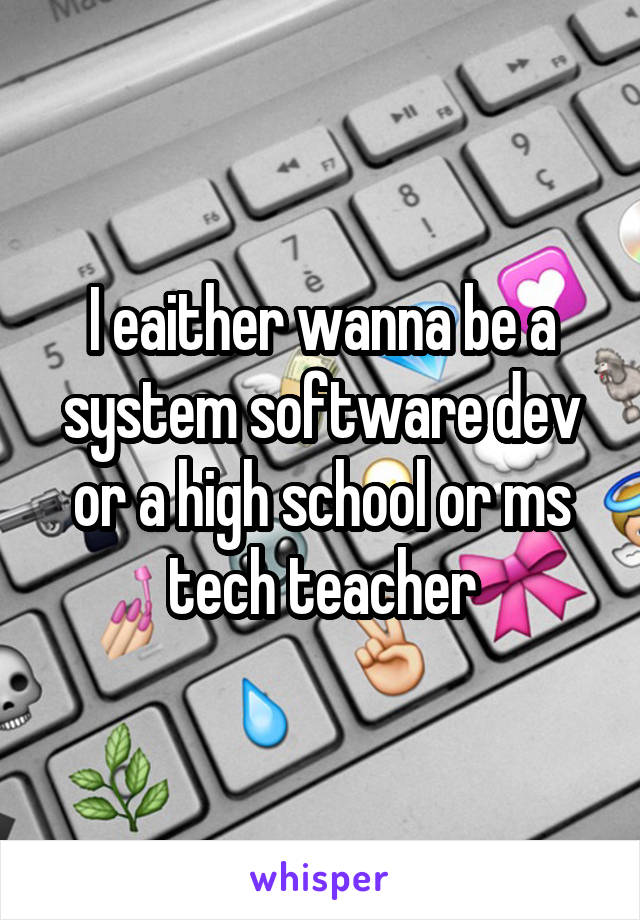 I eaither wanna be a system software dev or a high school or ms tech teacher