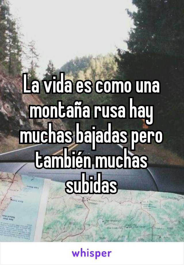 La vida es como una montaña rusa hay muchas bajadas pero también muchas subidas