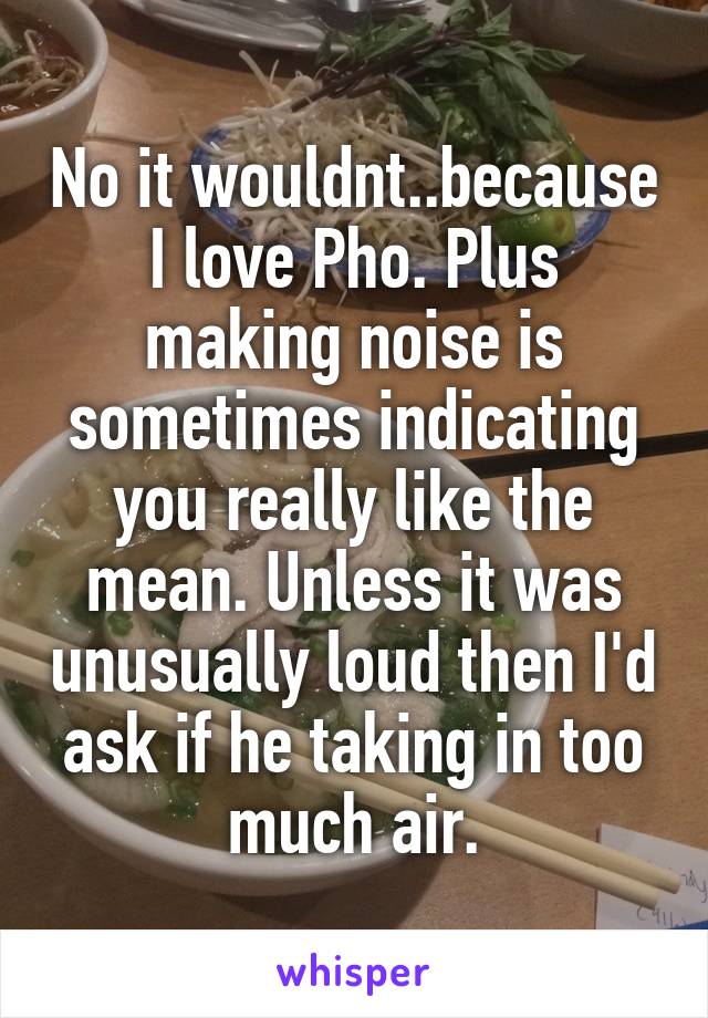 No it wouldnt..because I love Pho. Plus making noise is sometimes indicating you really like the mean. Unless it was unusually loud then I'd ask if he taking in too much air.