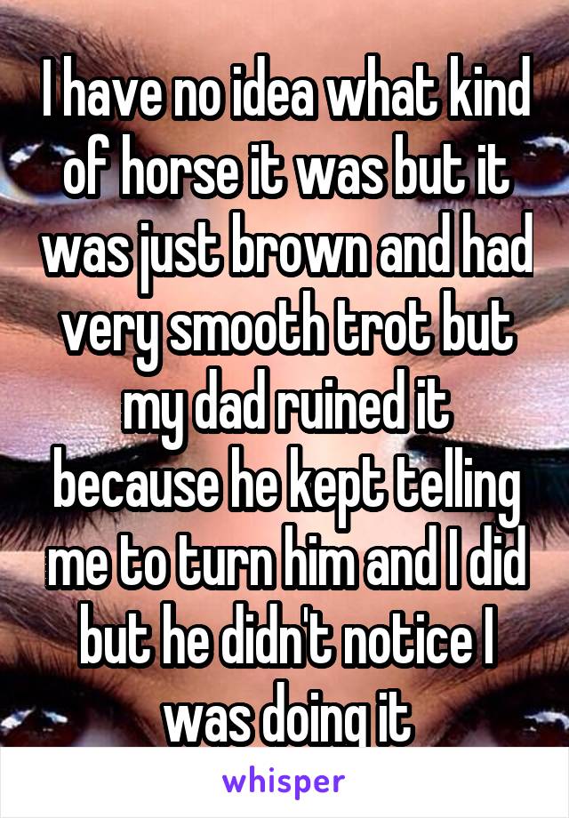 I have no idea what kind of horse it was but it was just brown and had very smooth trot but my dad ruined it because he kept telling me to turn him and I did but he didn't notice I was doing it