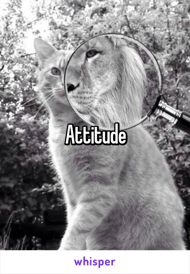 Attitude