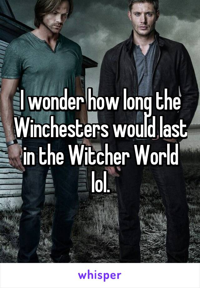 I wonder how long the Winchesters would last in the Witcher World lol.