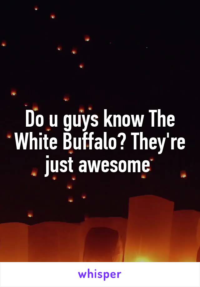 Do u guys know The White Buffalo? They're just awesome 