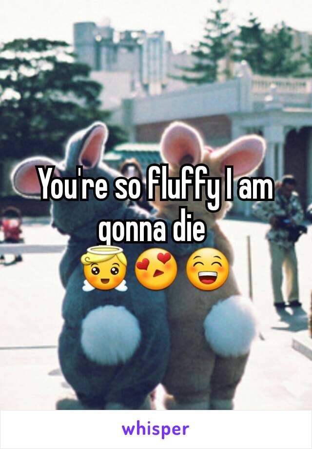 You're so fluffy I am gonna die 
😇😍😁