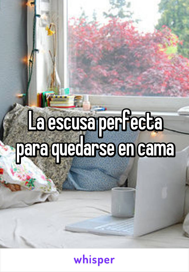 La escusa perfecta para quedarse en cama