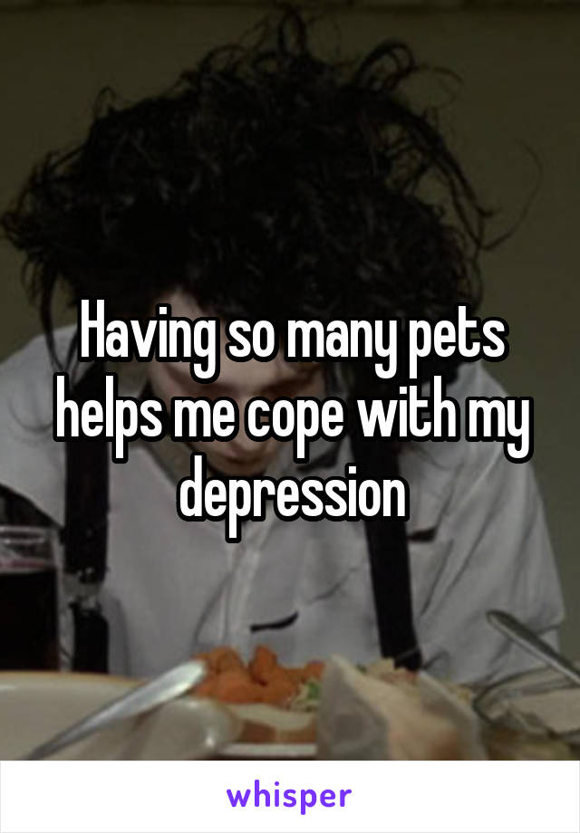 Having so many pets helps me cope with my depression