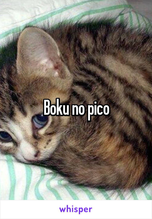 Boku no pico