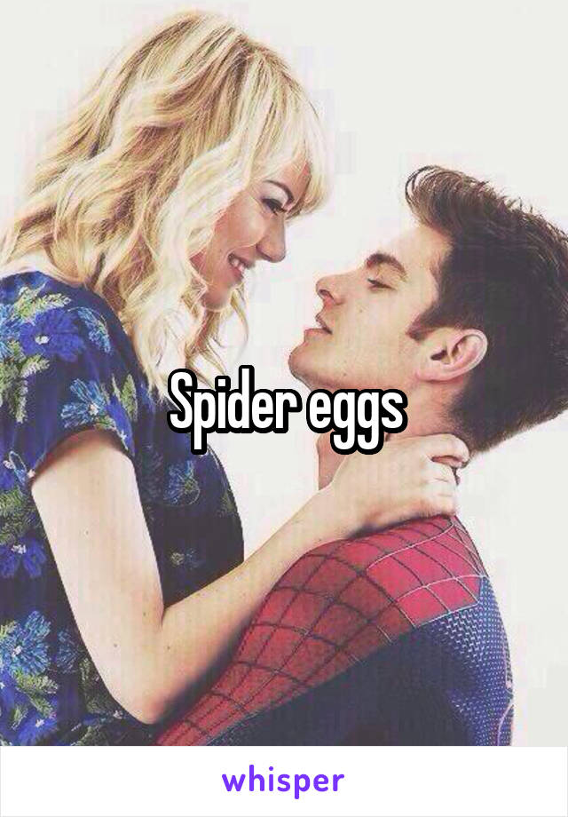 Spider eggs