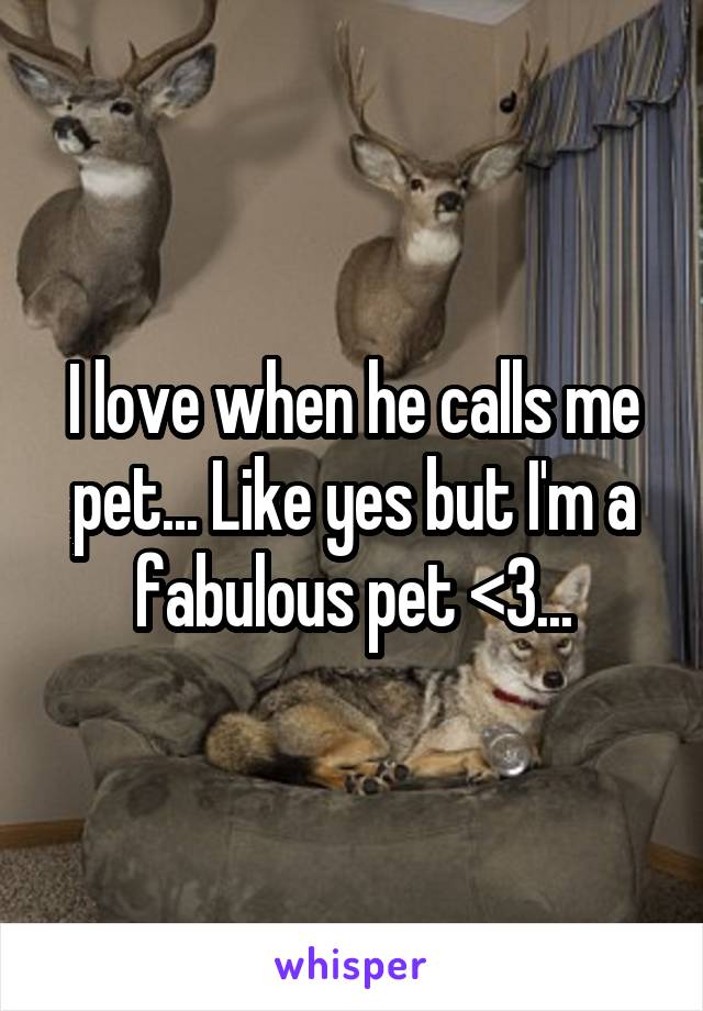 I love when he calls me pet... Like yes but I'm a fabulous pet <3...