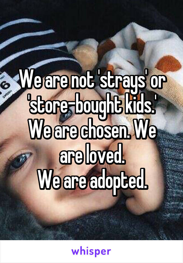 We are not 'strays' or 'store-bought kids.'
We are chosen. We are loved.
We are adopted.