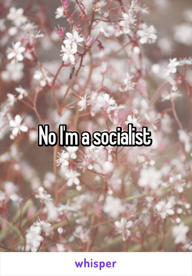 No I'm a socialist 