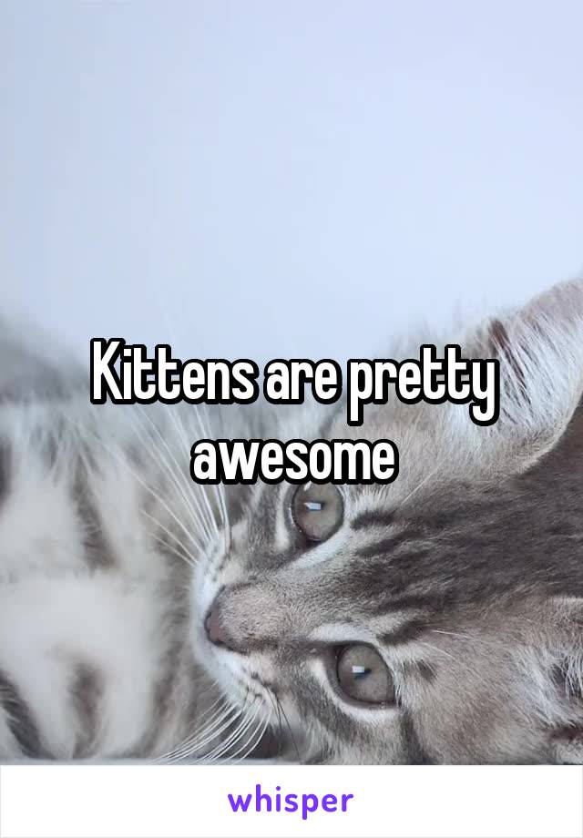 Kittens are pretty awesome