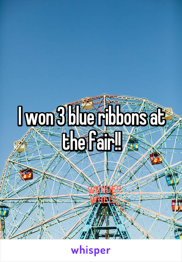 I won 3 blue ribbons at the fair!!