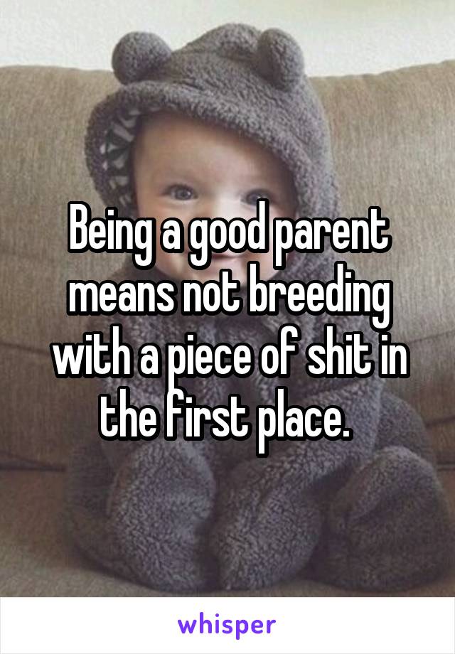 Being a good parent means not breeding with a piece of shit in the first place. 