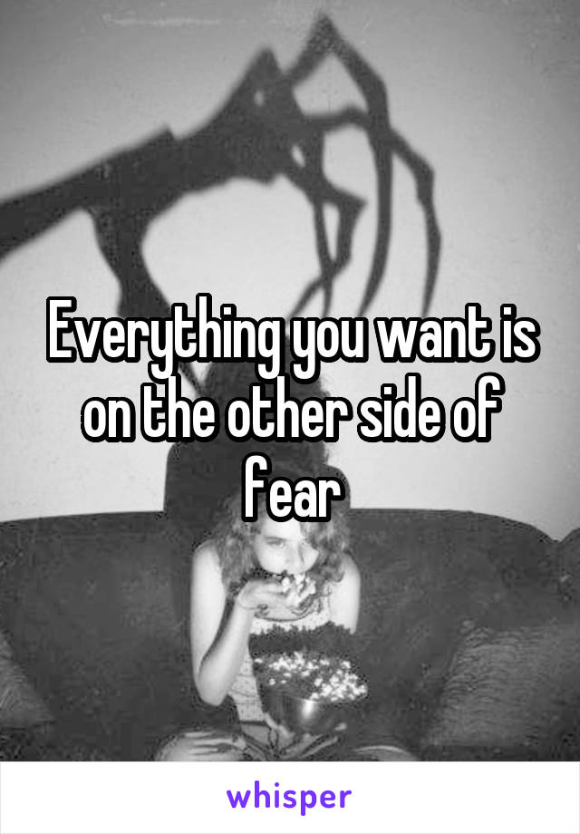 Everything you want is on the other side of fear