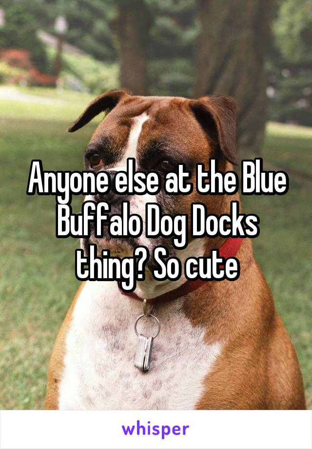 Anyone else at the Blue Buffalo Dog Docks thing? So cute