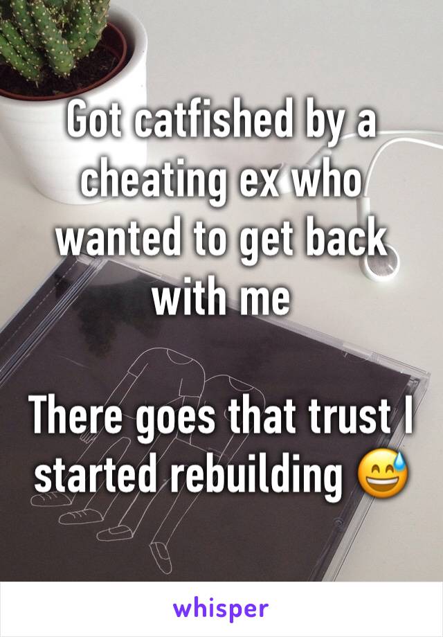 Got catfished by a cheating ex who wanted to get back with me 

There goes that trust I started rebuilding 😅