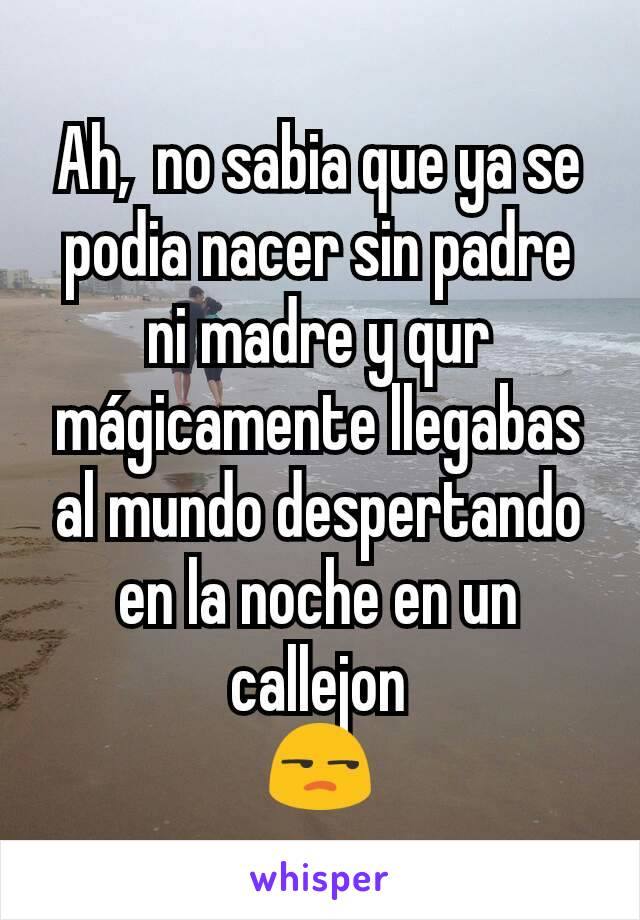 Ah,  no sabia que ya se podia nacer sin padre ni madre y qur mágicamente llegabas al mundo despertando en la noche en un callejon
😒