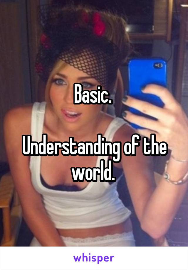 Basic. 

Understanding of the world. 