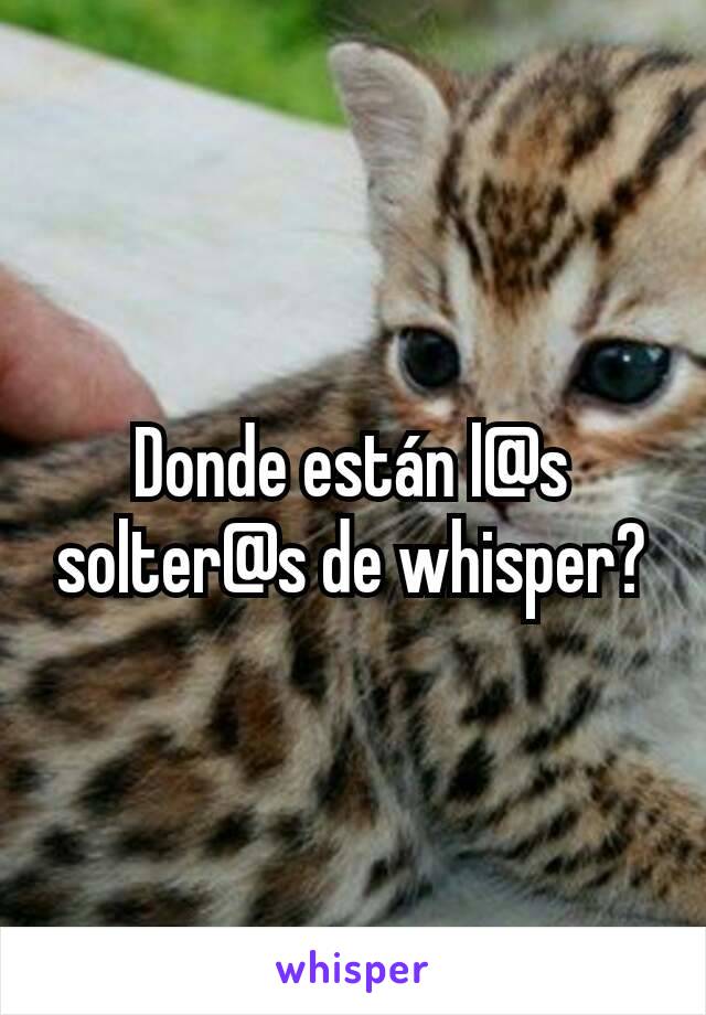 Donde están l@s solter@s de whisper?