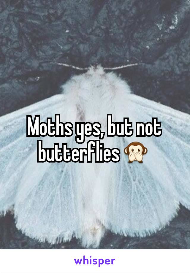 Moths yes, but not butterflies🙊