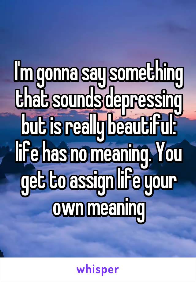 I'm gonna say something that sounds depressing but is really beautiful: life has no meaning. You get to assign life your own meaning