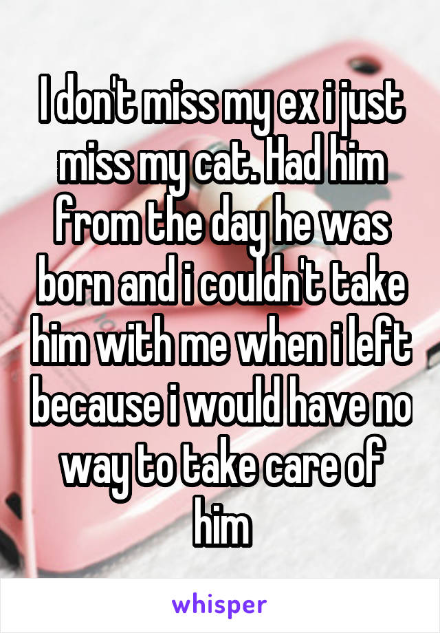 I don't miss my ex i just miss my cat. Had him from the day he was born and i couldn't take him with me when i left because i would have no way to take care of him