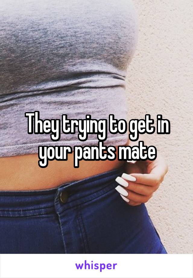 They trying to get in your pants mate