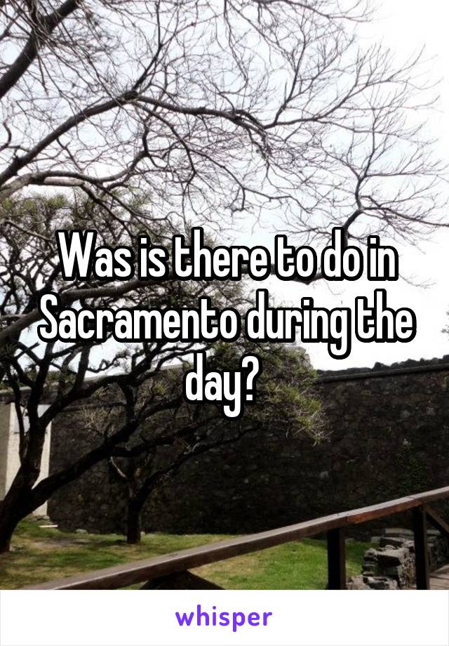 Was is there to do in Sacramento during the day? 