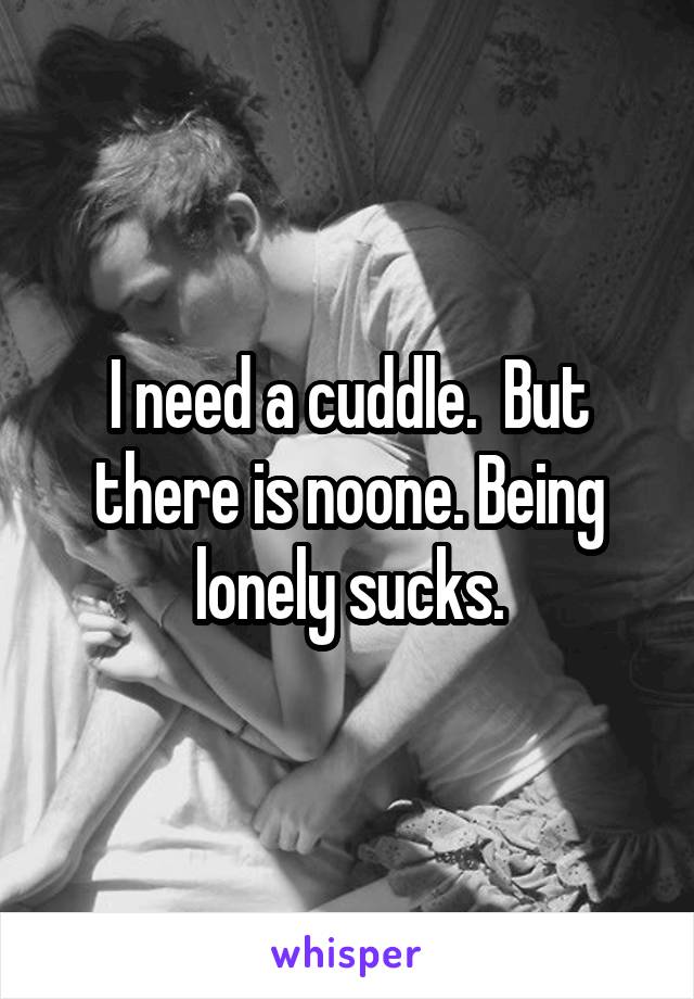 I need a cuddle.  But there is noone. Being lonely sucks.