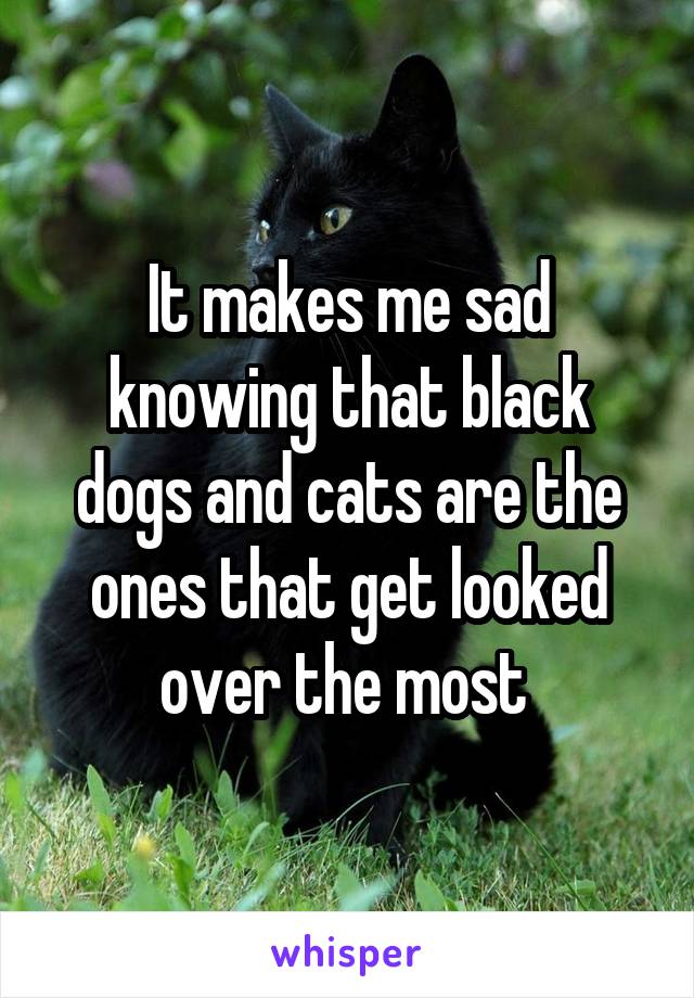 It makes me sad knowing that black dogs and cats are the ones that get looked over the most 