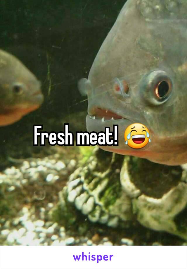 Fresh meat! 😂