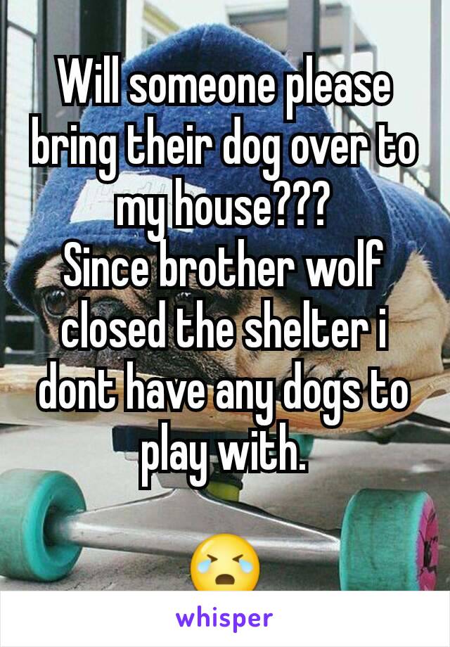 Will someone please bring their dog over to my house???
Since brother wolf closed the shelter i dont have any dogs to play with.

😭