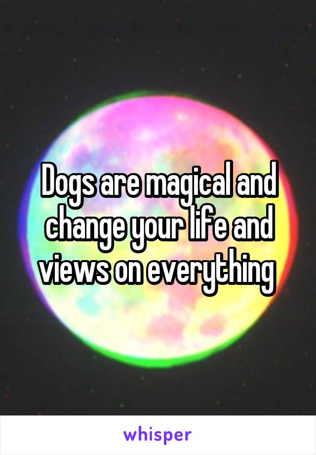 Dogs are magical and change your life and views on everything 