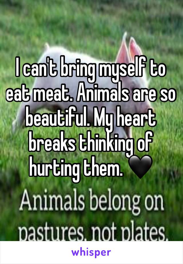 I can't bring myself to eat meat. Animals are so beautiful. My heart breaks thinking of hurting them. 🖤