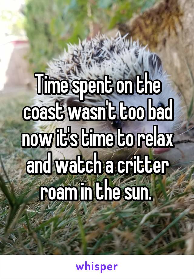 Time spent on the coast wasn't too bad now it's time to relax and watch a critter roam in the sun. 