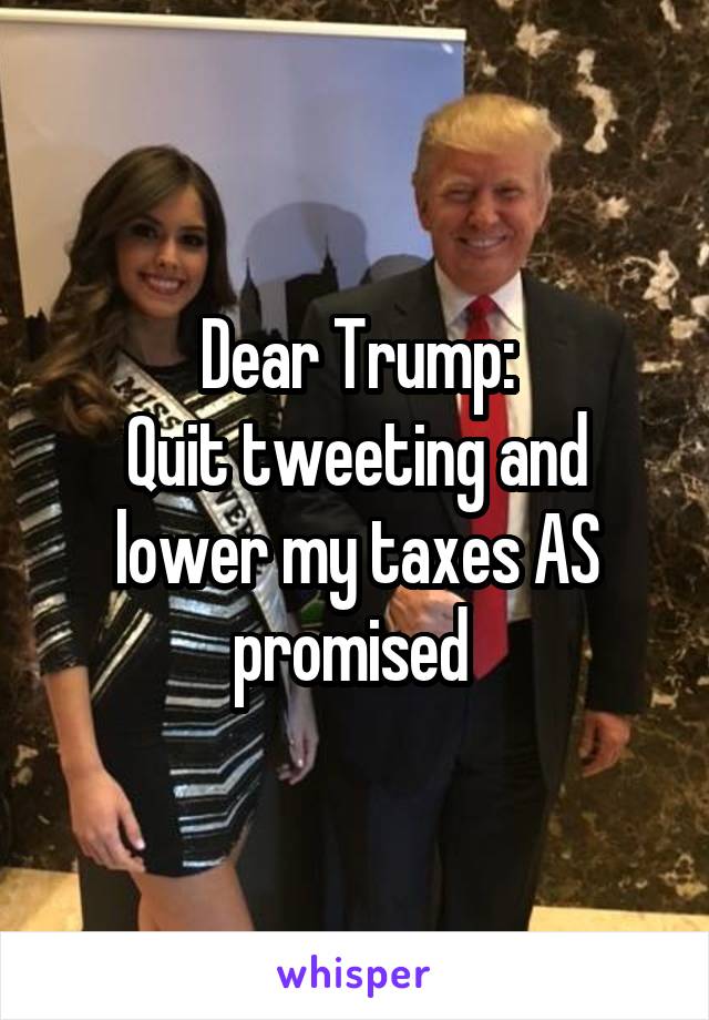 Dear Trump:
Quit tweeting and lower my taxes AS promised 