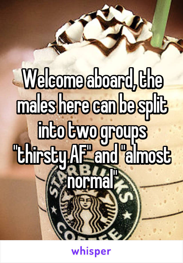 Welcome aboard, the males here can be split into two groups "thirsty AF" and "almost normal"