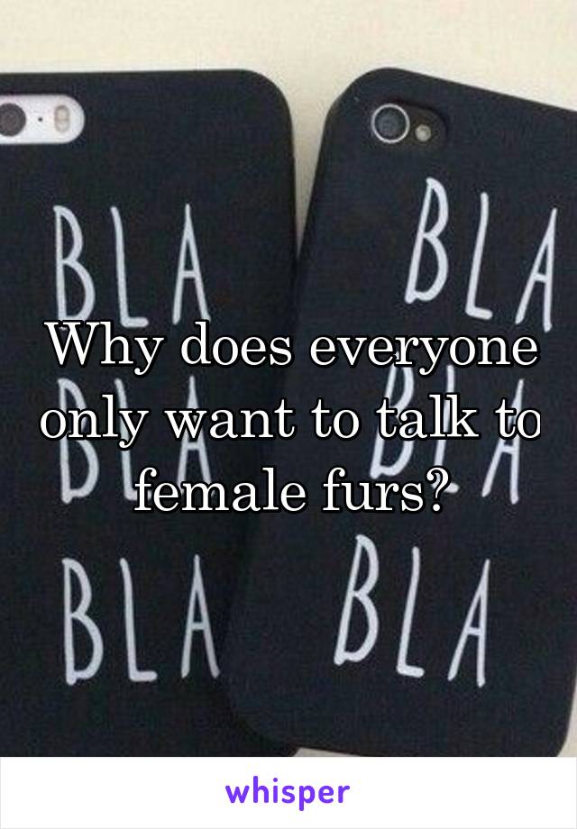 Why does everyone only want to talk to female furs?