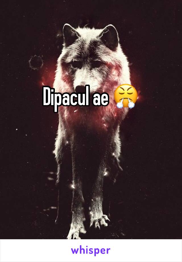 Dipacul ae 😤