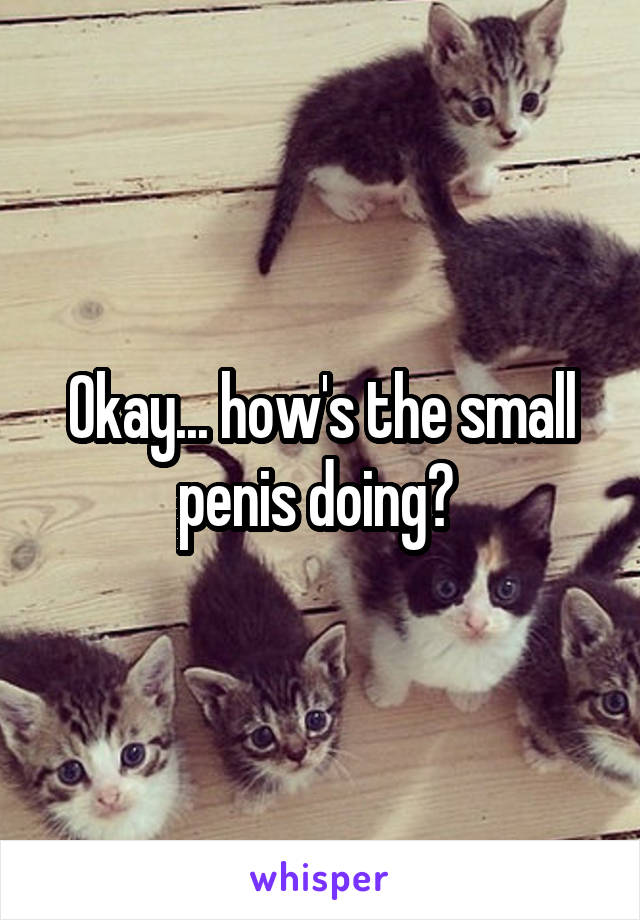 Okay... how's the small penis doing? 