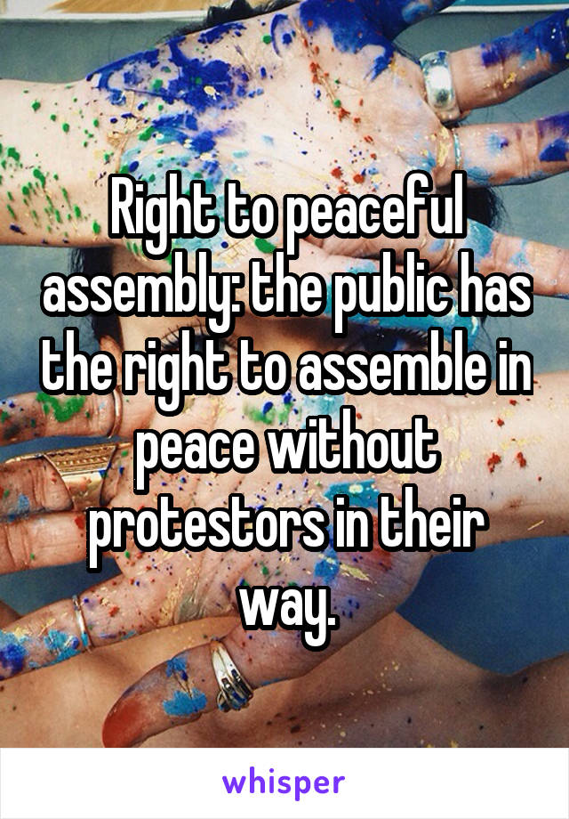 Right to peaceful assembly: the public has the right to assemble in peace without protestors in their way.