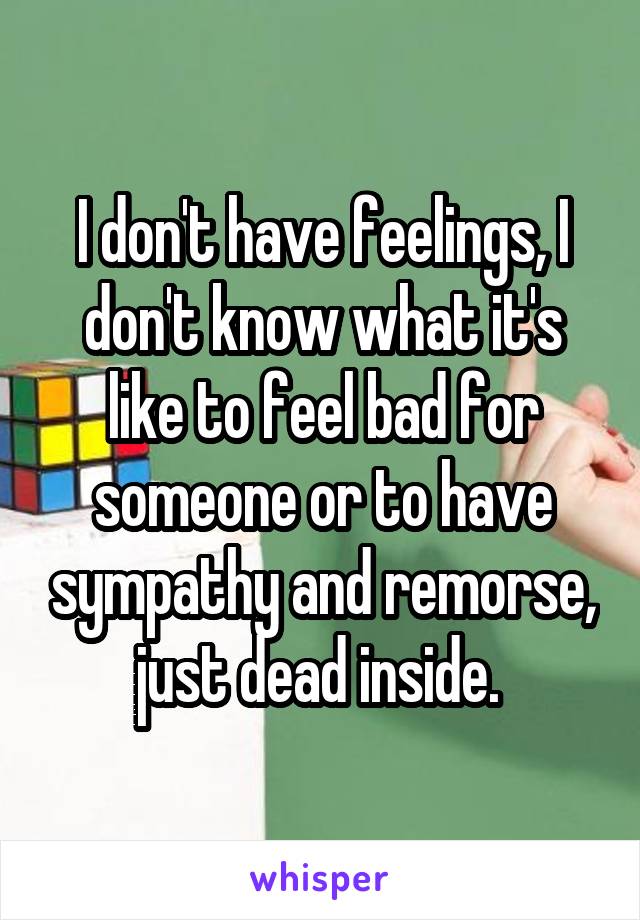 I don't have feelings, I don't know what it's like to feel bad for someone or to have sympathy and remorse, just dead inside. 