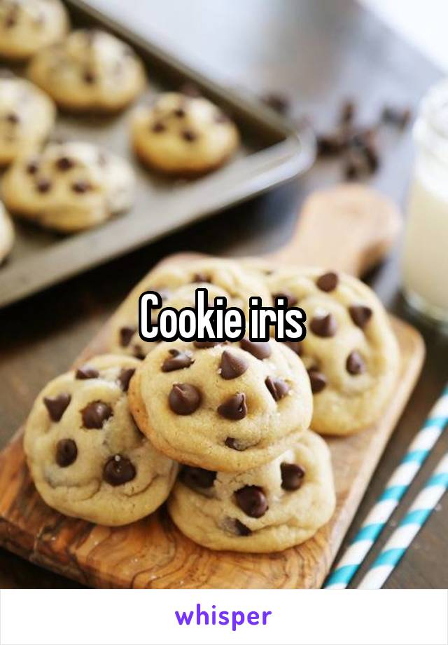 Cookie iris 