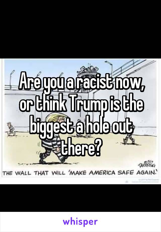 Are you a racist now, or think Trump is the biggest a hole out there?