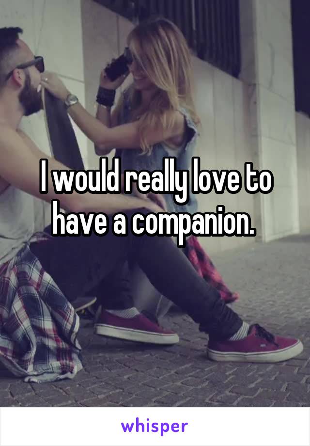 I would really love to have a companion. 
