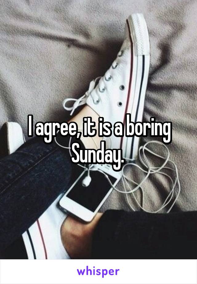 I agree, it is a boring Sunday. 