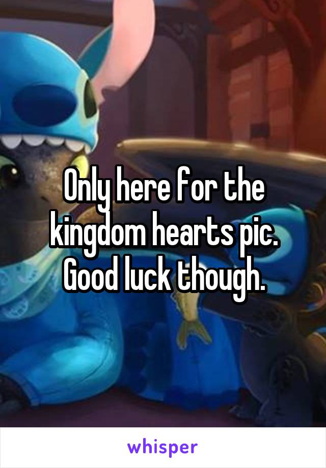 Only here for the kingdom hearts pic. Good luck though.