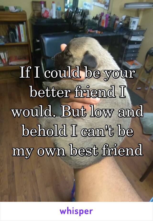 If I could be your better friend I would. But low and behold I can't be my own best friend